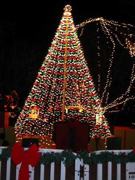 wildlights at zoo 031.jpg